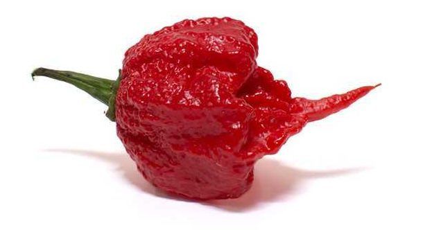 Carolina Reaper #1 hottest Pepper Seeds 25+