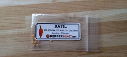 Datil photo review