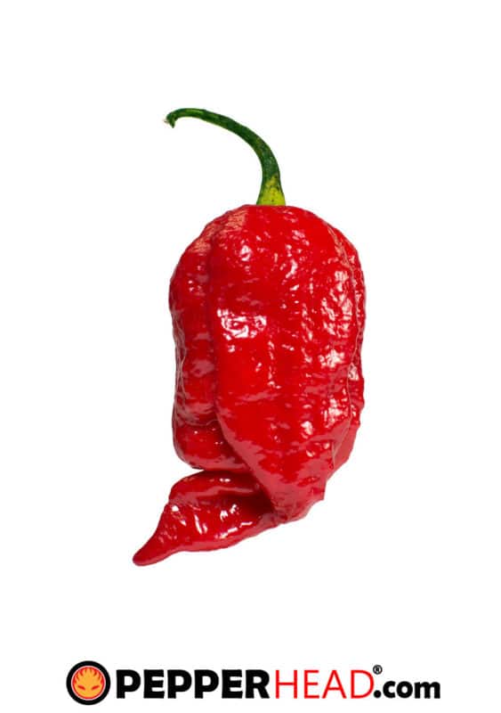 7 Pot Chaguanas PepperHead