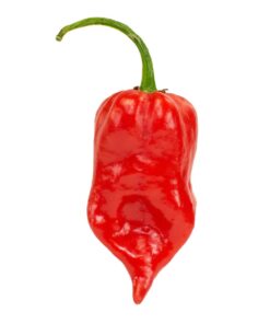Devil's Tongue