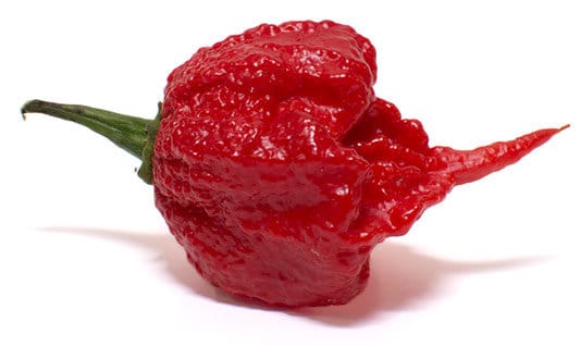 has anyone died from eating a carolina reaper pepper