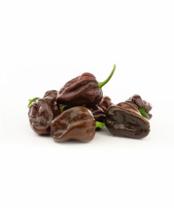Alternative view of Chocolate Habanero