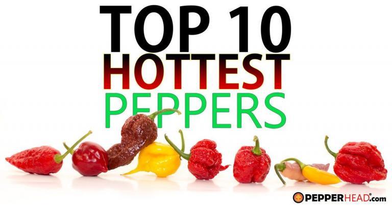 Top 10 World's Hottest Peppers [2026 Update] New Hottest Pepper