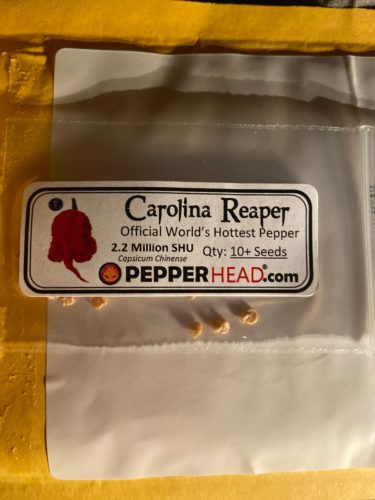 Carolina Reaper photo review