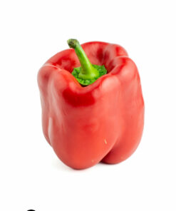 Red Bell Pepper