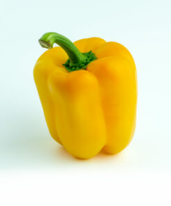 Yellow Bell Pepper