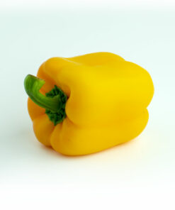 Yellow Bell Pepper on its Side