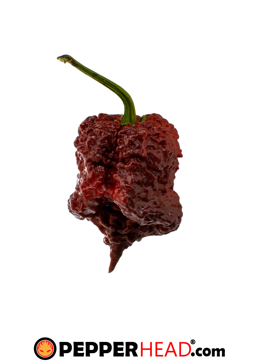 Chocolate Brain Reaper - Image 2