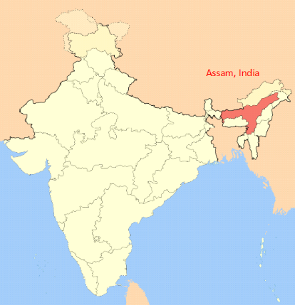 Assam India