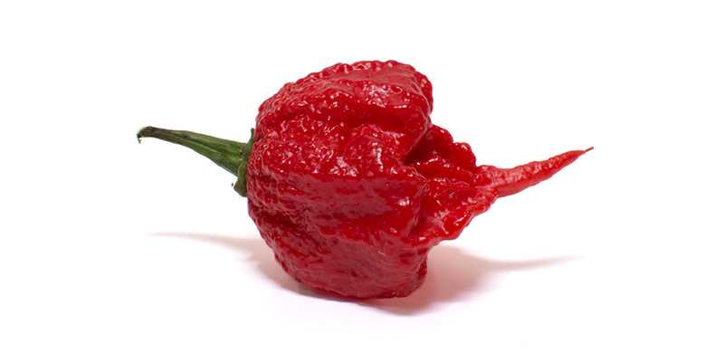 what is the hottest pepper in the world